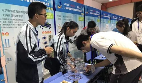 上海食品科技學校甜玉米汁配方優(yōu)化項目成功入圍“挑戰(zhàn)杯—彩虹人生”全國復賽